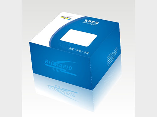 包裝盒、彩盒3